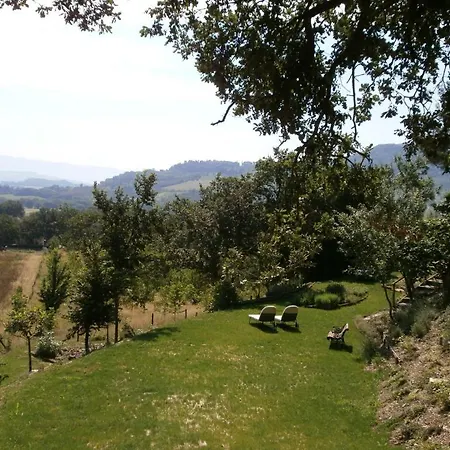 Gli Di Torre Bertona * Τόντι