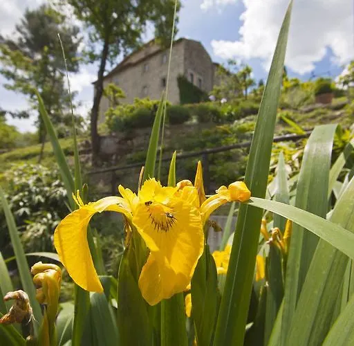 Gli Di Torre Bertona *